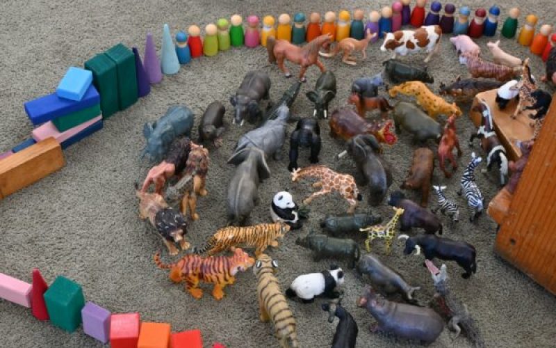 Animal toys at Glen Education Mordialloc Kindergarten